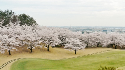 イベント